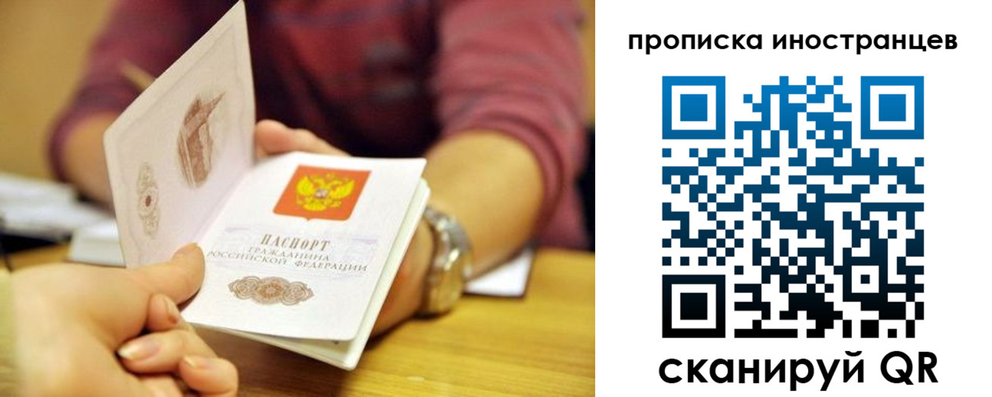 прописка для школы в Фрязино